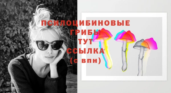 ешки Нягань
