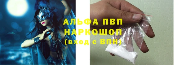 шишки Алексин