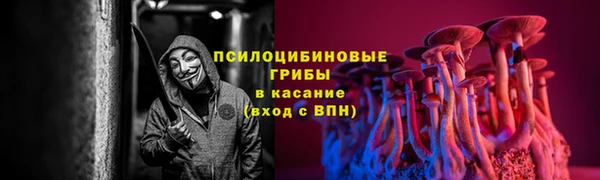 молекула духа Абинск