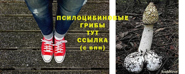 гидра Абдулино