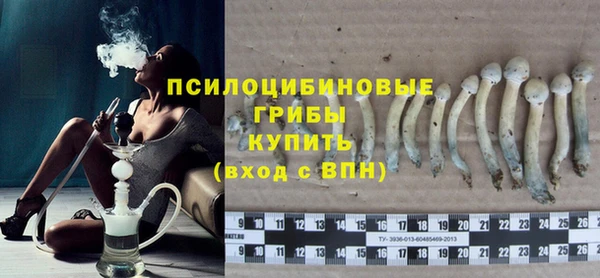 шишки Алексин